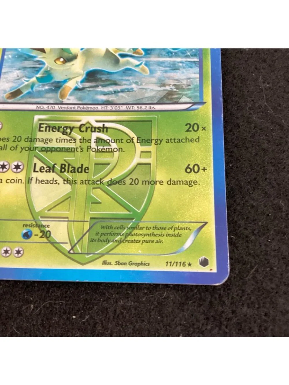 Leafeon Team Plasma Cracked Ice #11/116 Plasma Freeze Pokemon TCG Card 2013 VG